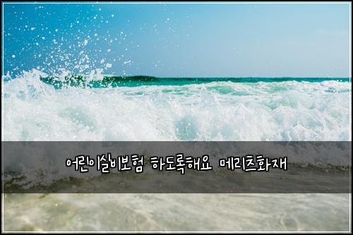 ์ด๋ฆฐ์ด์ค๋น๋ณดํ ํ๋๋กํด์ ๋ฉ๋ฆฌ์ธ ํ์ฌ