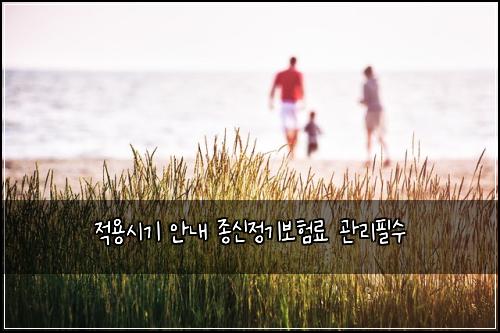 ์ ์ฉ์๊ธฐ ์๋ด ์ข
์ ์ ๊ธฐ๋ณดํ๋ฃ ๊ด๋ฆฌํ์