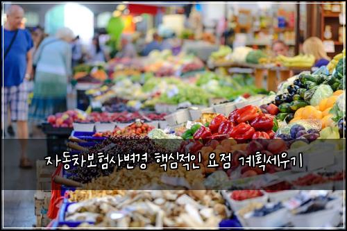 자동차보험사변경 핵심적인 요점 계획세우기