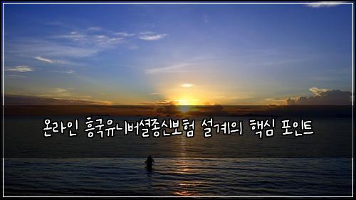 온라인 흥국유니버셜종신보험 설계의 핵심 포인트