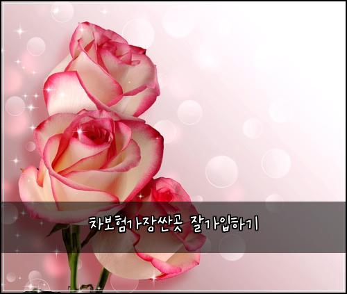 ์ฐจ๋ณดํ๊ฐ์ฅ์ผ๊ณณ ์๊ฐ์
ํ๊ธฐ