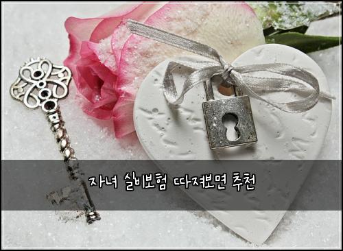 ์๋
์ค๋น๋ณดํ ๋ฐ์ ธ๋ณด๋ฉด ์ถ์ฒ