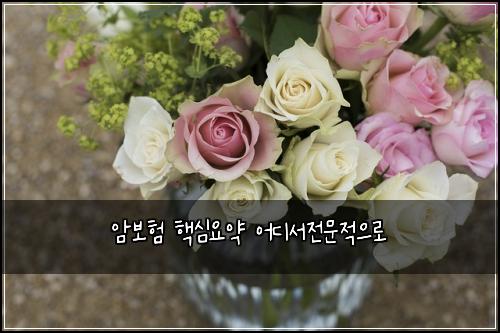 ์๋ณดํ ํต์ฌ์์ฝ ์ด๋์์ ๋ฌธ์ ์ผ๋ก