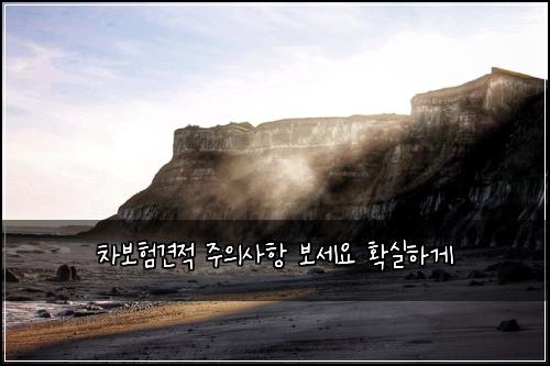차보험견적 주의사항 보세요 확실하게