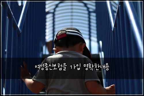 여성종신보험을 가입 명확한내용