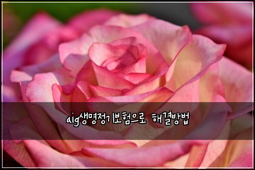 aigμλͺ
μ 기보νμΌλ‘ ν΄κ²°λ°©λ²
