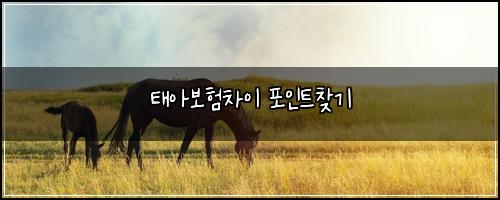 ํ์๋ณดํ์ฐจ์ด ํฌ์ธํธ์ฐพ๊ธฐ