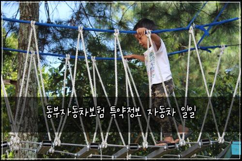 동부자동차보험 특약정보  자동차 일일