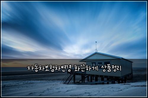 자동차보험차변경 화끈하게 상품정리