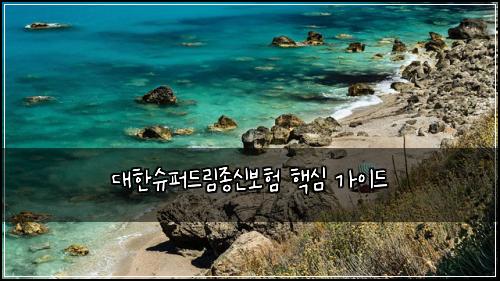 대한슈퍼드림종신보험 핵심 가이드