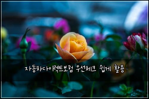자동차다이렉트보험 우선체크  쉽게 활용