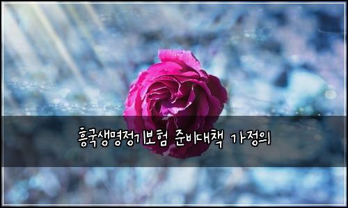 흥국생명정기보험 준비대책  가정의