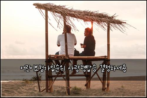 어린이보험가입순위 사랑행탑승 결정하세용