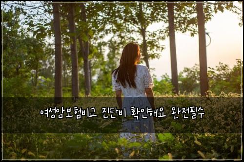 ์ฌ์ฑ์๋ณดํ๋น๊ต ์ง๋จ๋น ํ์ธํด์ ์์ ํ์