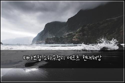 태아보험 노하우정리  메르츠 현대해상