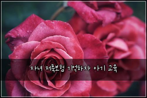 자녀 저축보험 기억하자  아기 교육