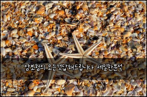 암보험의 모든것답해드립니다 세밀한분석