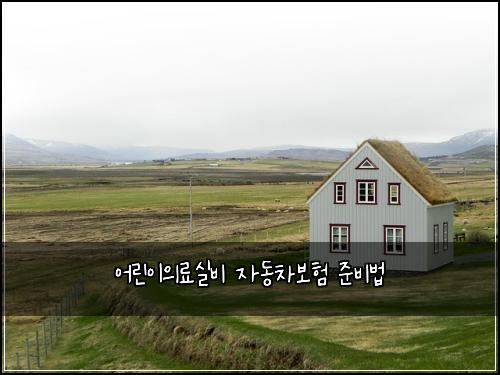 어린이의료실비 자동차보험 준비법