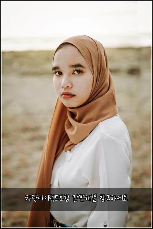 ์ฐจ๋๋ค์ด๋ ํธ๋ณดํ ๊ฐํธํด๊ฒฐ ์ฐธ๊ณ ํ์ธ์