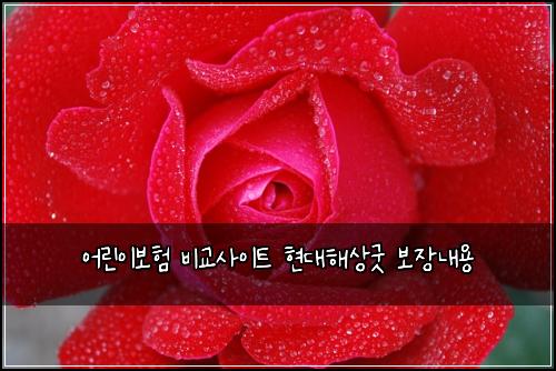 어린이보험 비교사이트  현대해상굿 보장내용