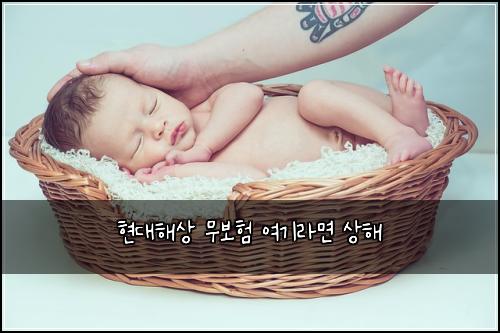 ํ๋ํด์ ๋ฌด๋ณดํ ์ฌ๊ธฐ๋ผ๋ฉด ์ํด