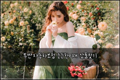 ํฌ์ผ์๋์ฐจ๋ณดํ ๋ ๋ ํ๋ฏธ๋ ์ํ์ฐพ๊ธฐ