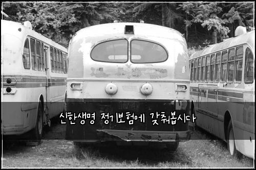 신한생명 정기보험에 갖춰봅시다