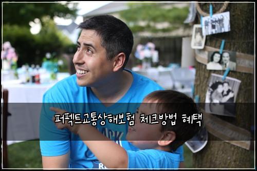 퍼펙트교통상해보험 체크방법  혜택 