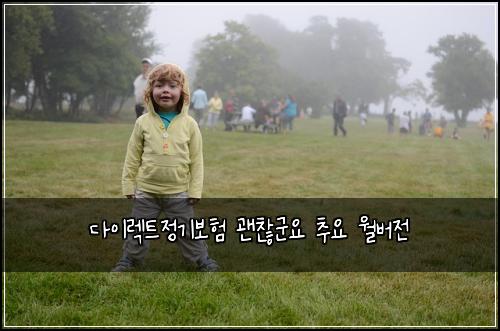 다이렉트정기보험 괜찮군요  추요 월버전