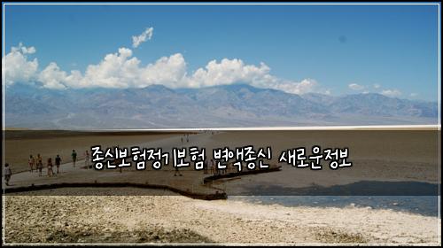 종신보험정기보험 변액종신 새로운정보