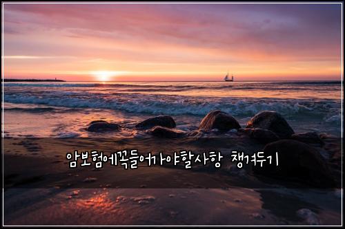 암보험에꼭들어가야할사항 챙겨두기