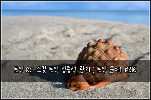토익 RC 스킬 토익 집중력 관리 : 토익 문제 #316