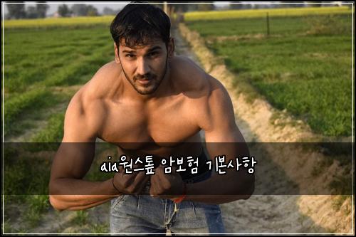 aia원스톺 암보험 기본사항 