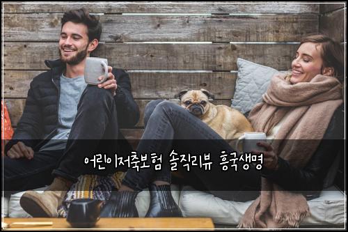어린이저축보험 솔직리뷰  흥국생명