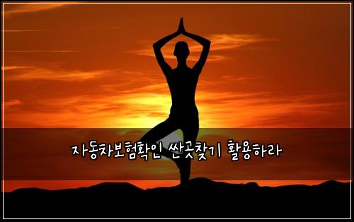 ์๋์ฐจ๋ณดํํ์ธ ์ผ๊ณณ์ฐพ๊ธฐ ํ์ฉํ๋ผ