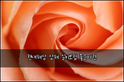 현대해상 상해 실비보험 좋은마련 