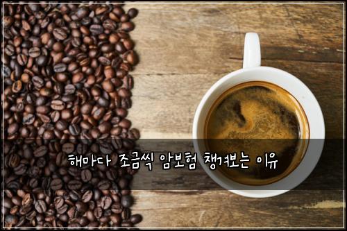해마다 조금씩 암보험 챙겨보는 이유