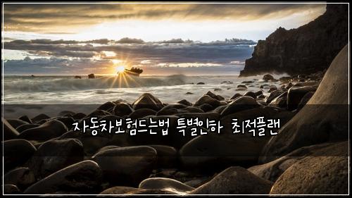 ์๋์ฐจ๋ณดํ๋๋๋ฒ ํน๋ณ์ธํ ์ต์ ํ๋