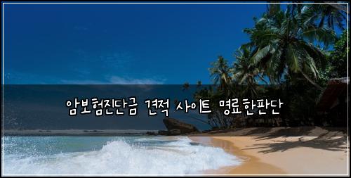 암보험진단금 견적 사이트 명료한판단