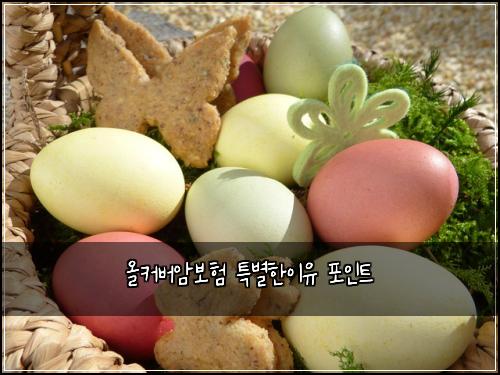 올커버암보험 특별한이유  포인트