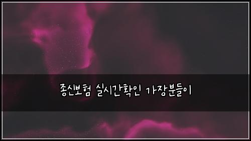 종신보험 실시간확인  가장분들이