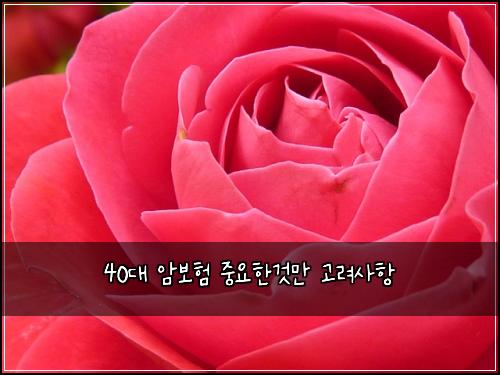 40대 암보험 중요한것만  고려사항