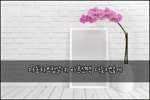 ์๋์ฐจ๋ณดํ์ค๊ณ ๋ฐ๋ฅธ์ ํ ๋๋ฆ์ง์๊ฒ