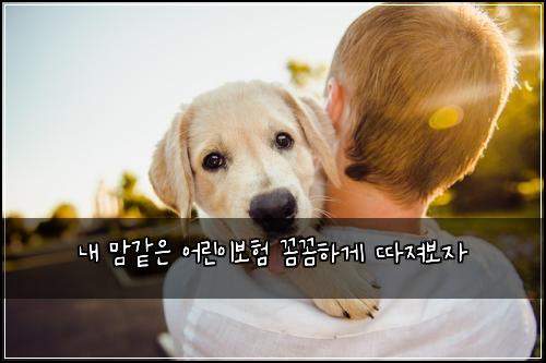 내 맘같은 어린이보험 꼼꼼하게 따져보자