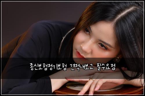 종신보험정기보험 견적내보고 필수요점