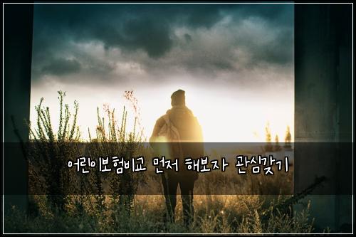 ์ด๋ฆฐ์ด๋ณดํ๋น๊ต ๋จผ์ ํด๋ณด์ ๊ด์ฌ๊ฐ๊ธฐ