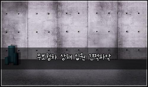 무보험차 상해 입원 견적파악