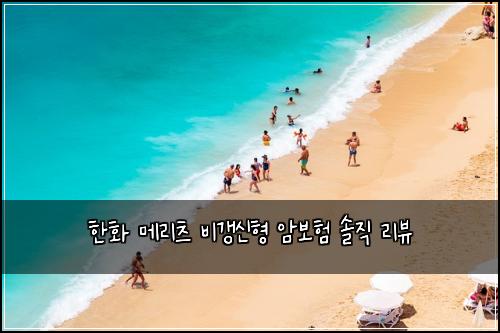 한화 메리츠 비갱신형 암보험 솔직 리뷰