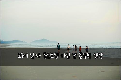27세 남자 종신보험 가입 전 솔직한 생각