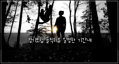 정기보험 솔직리뷰  일정한 기간내